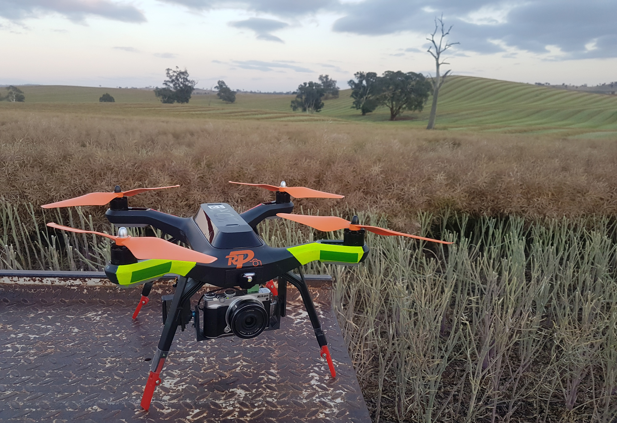 windrow_canola_drone_med.jpg